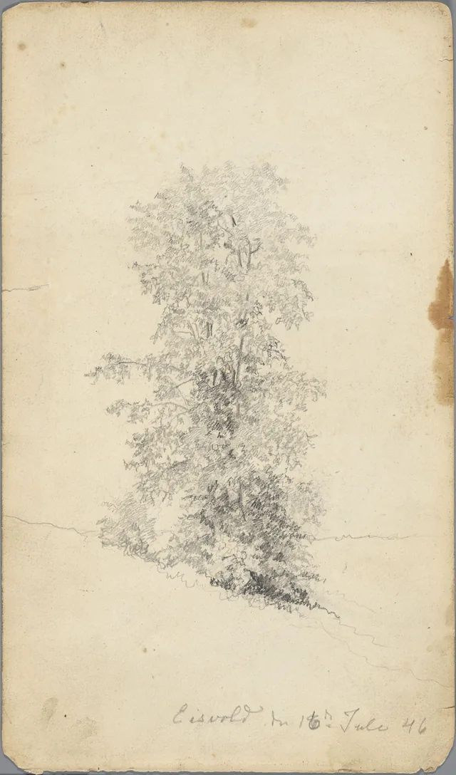 木