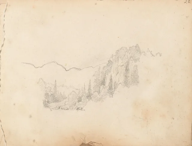 森の風景