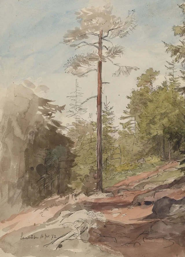 Interior de bosque, Sarabråten