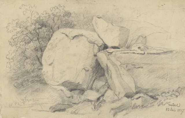 Piedras y vegetación