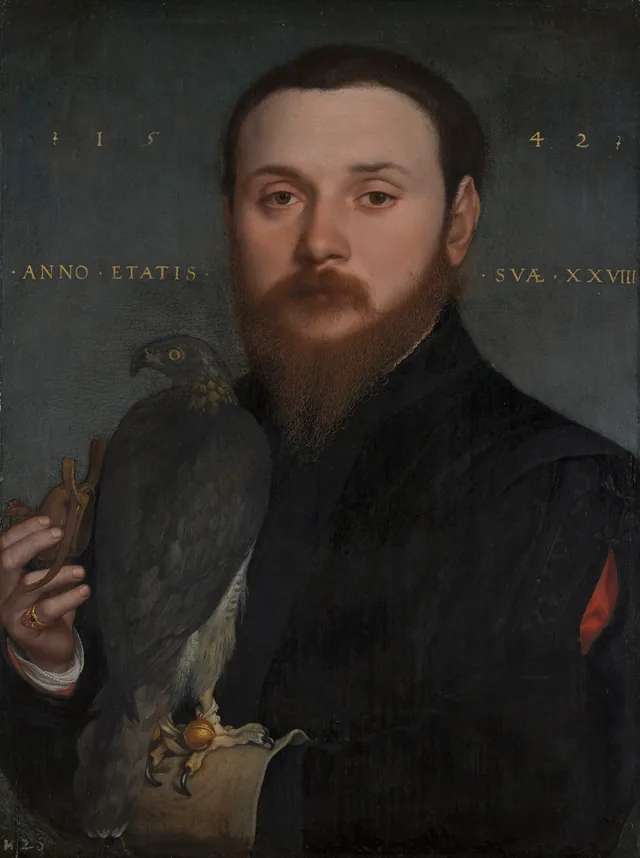 Portrait d'un gentilhomme au faucon, Hans Holbein le Jeune