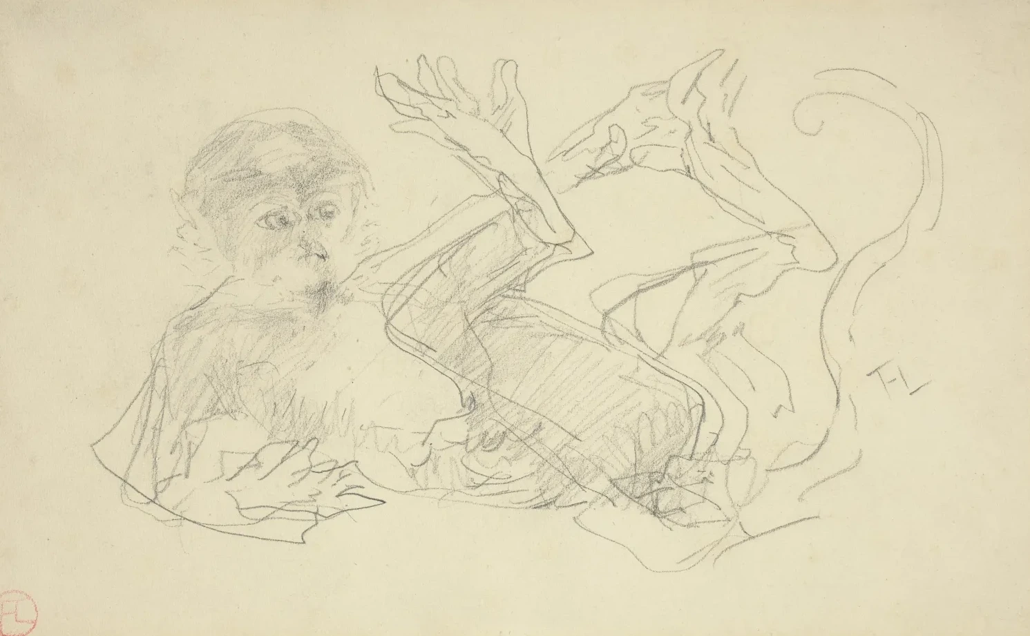 A Monkey Playing on His Back, Henri de Toulouse-Lautrec