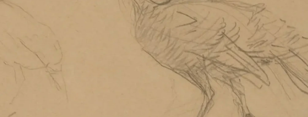 Kalkonstudier, Henri de Toulouse-Lautrec