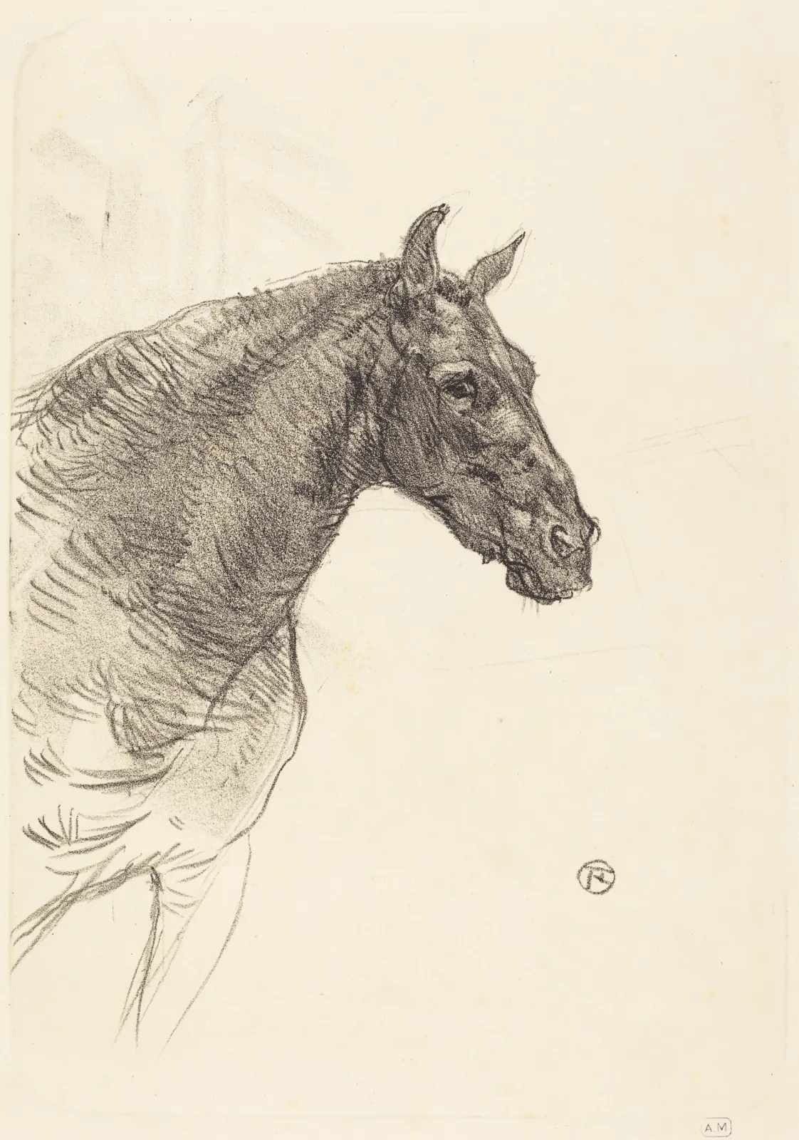 Old Horse (Le vieux cheval), Henri de Toulouse-Lautrec