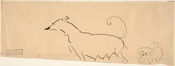Two Dogs