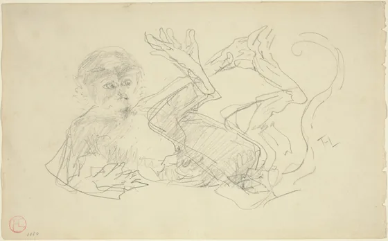 A Monkey Playing on His Back