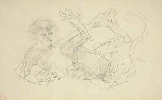A Monkey Playing on His Back