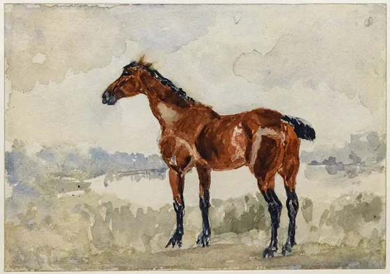 Cheval roux
