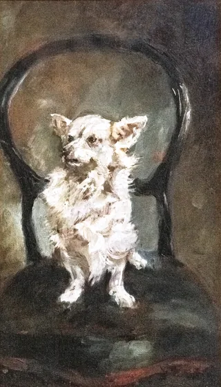 Petite chienne blanche