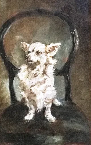 Petite chienne blanche