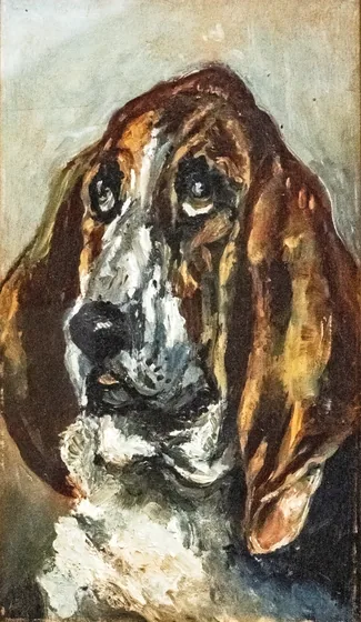 Tête de chien courant