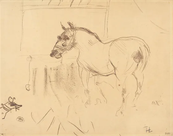 The Small Pony from Calmese (Le petit poney de Calmèse)