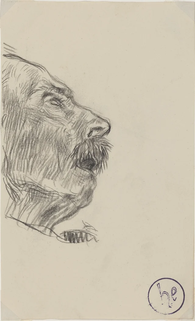 Meu avô, Henri Evenepoel