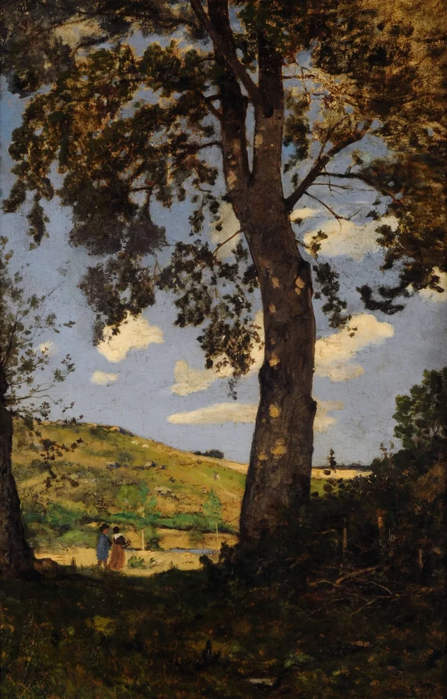 The Big Tree