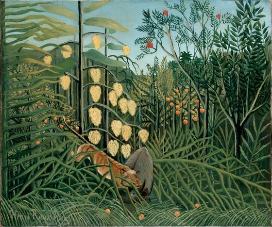 Dans la forêt tropicale - Combat d'un tigre et d'un taureau