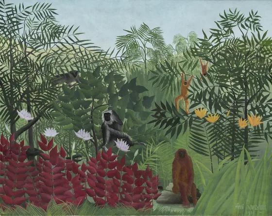 Forêt tropicale avec singes