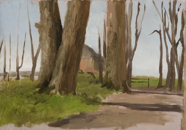 Landscape Sketch: Trees