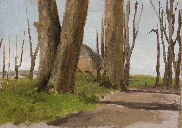 Landscape Sketch: Trees