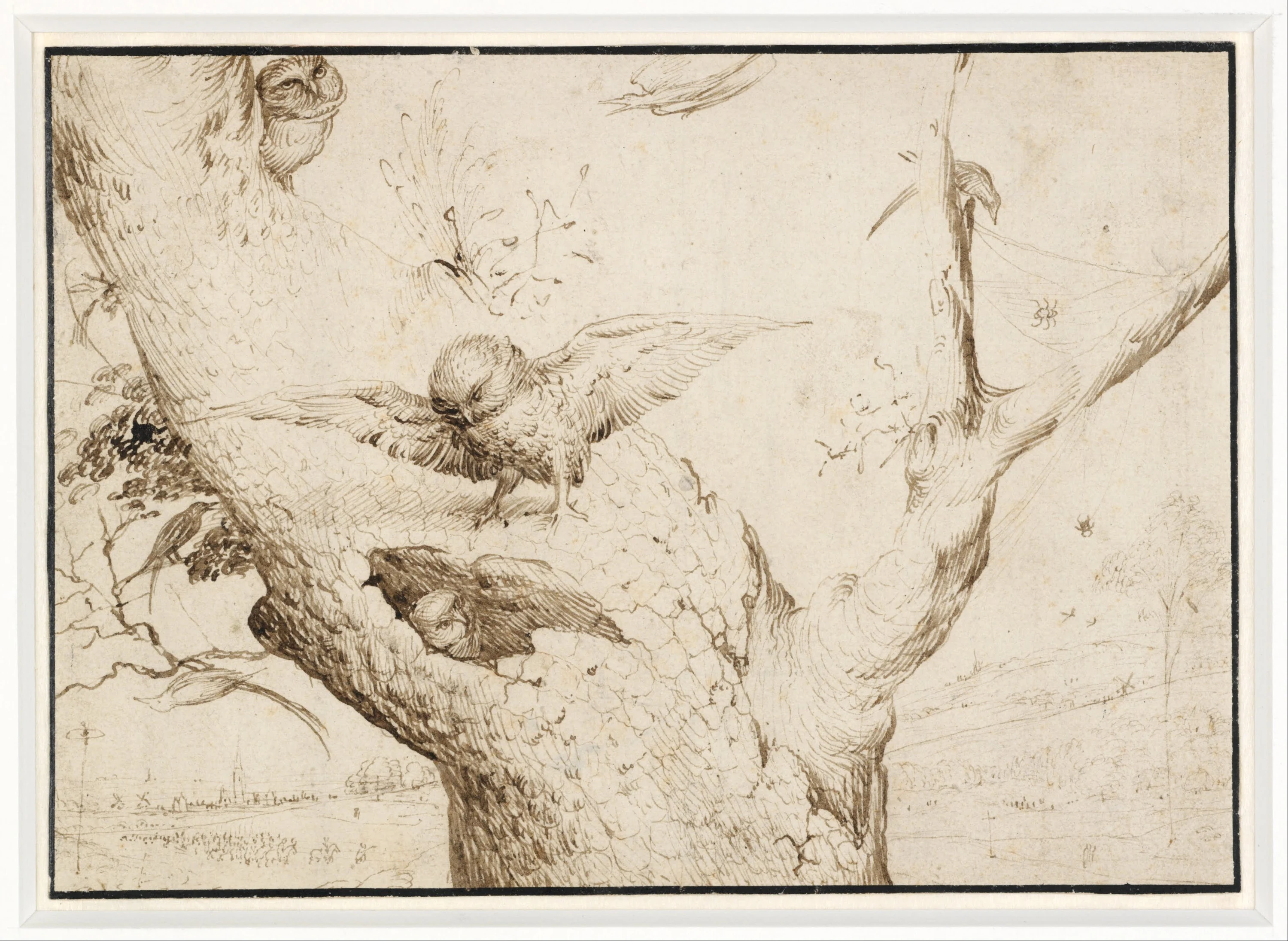 Le Nid de chouettes, Hieronymus Bosch