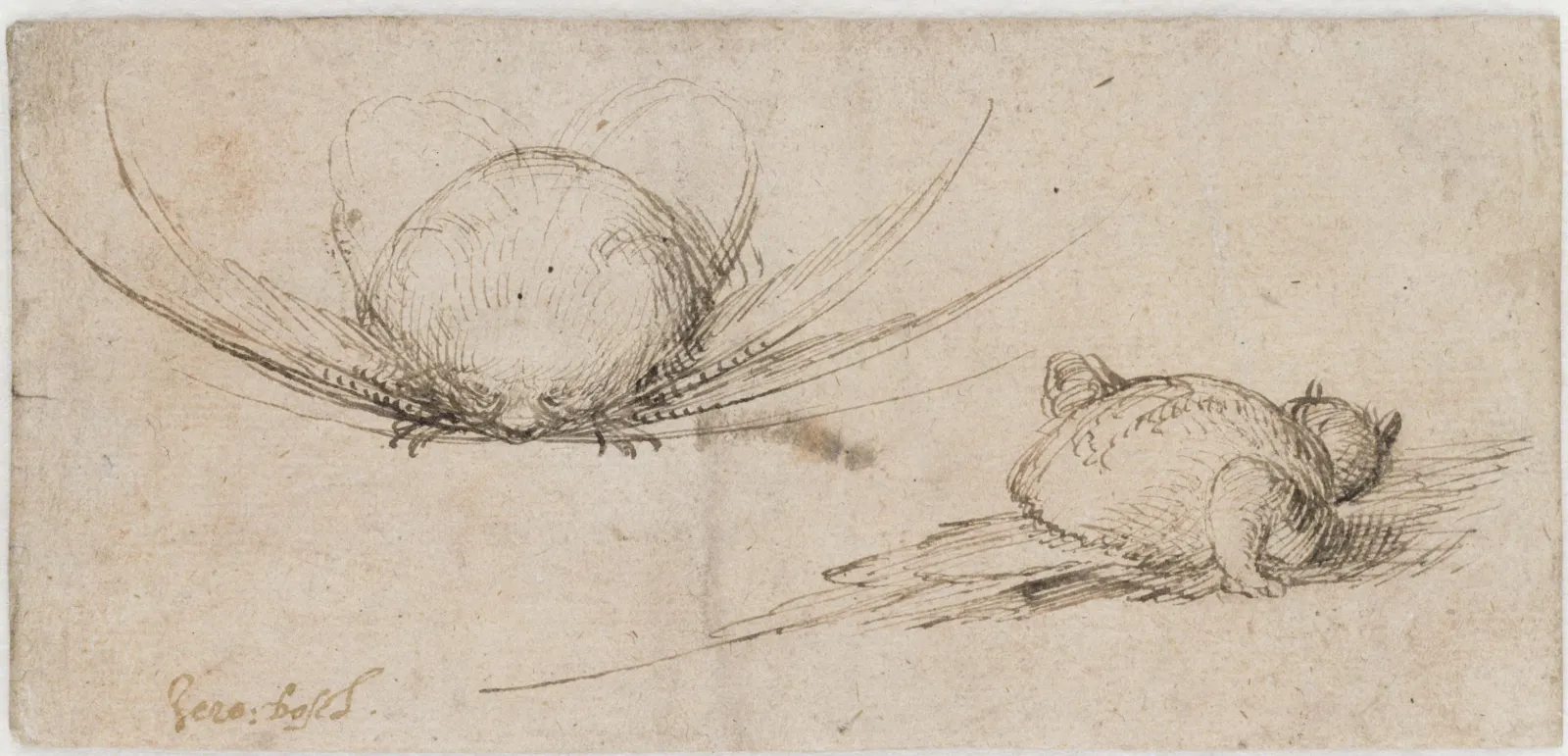 Two fantasy creatures, Hieronymus Bosch