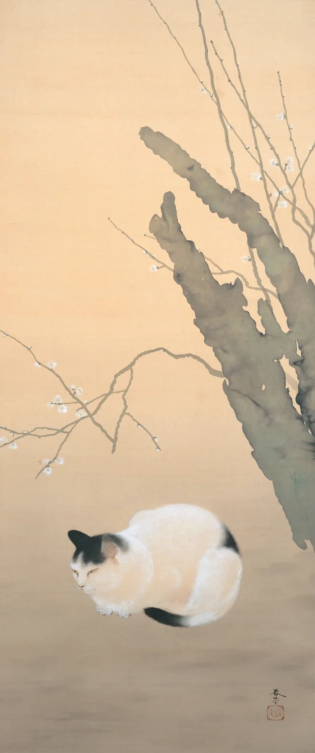 Cat and Plum Blossoms, Hishida Shunsō