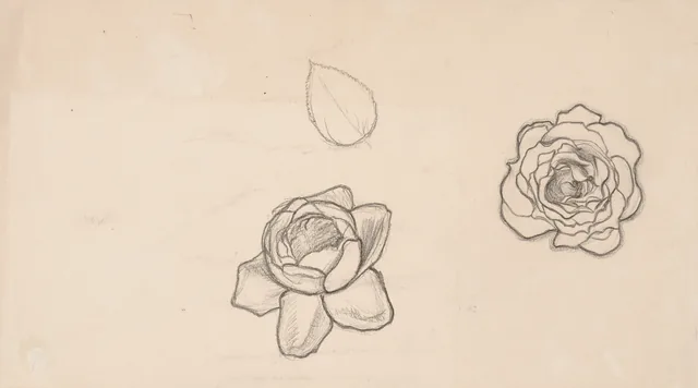 二輪のバラと葉（タンペレ大聖堂の絵のための下絵）