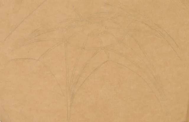 タンペレ大聖堂の中央天井のリブ（下絵）