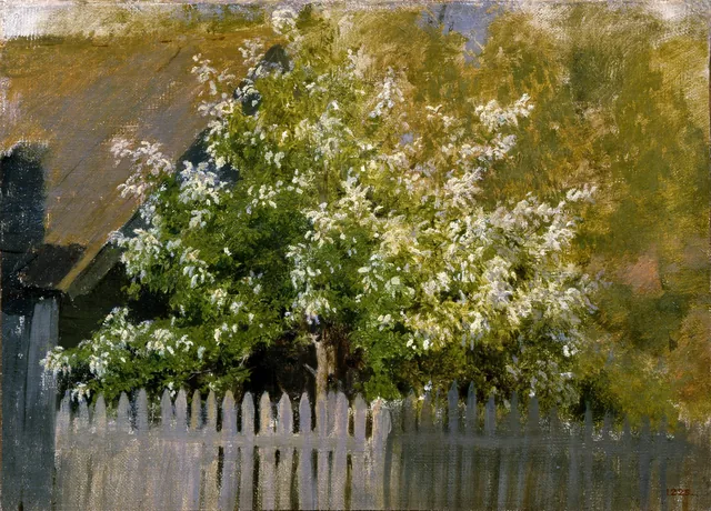 Bird Cherry, Isaac Levitan