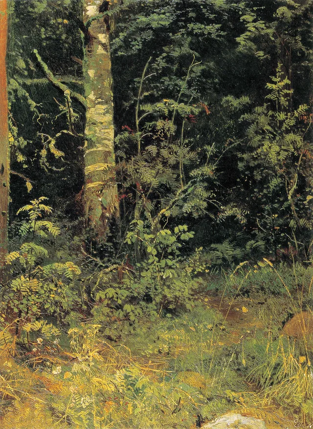 Birch and Rowan Trees, Ivan Chichkine
