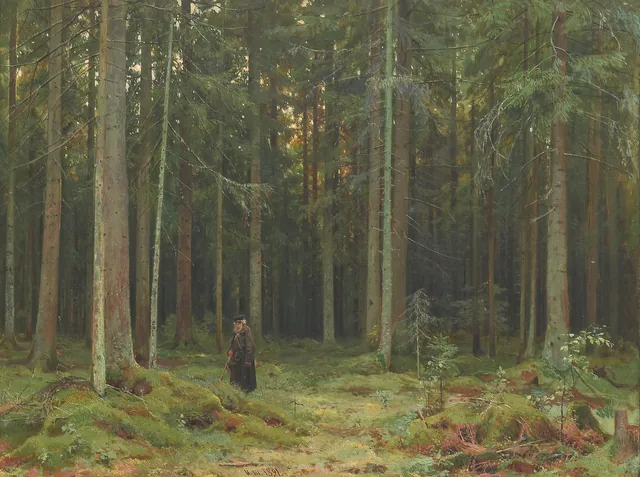 Dans la forêt de la comtesse Mordvinova. Peterhof
