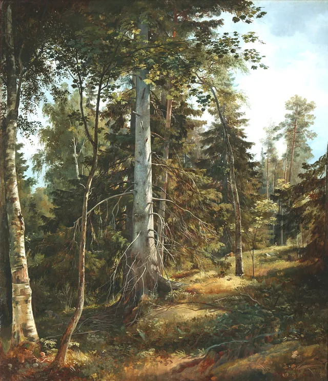 Forest Thicket, Ivan Chichkine