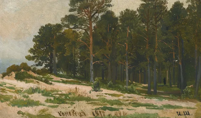 Forest (Shmetsk near Narva). Study