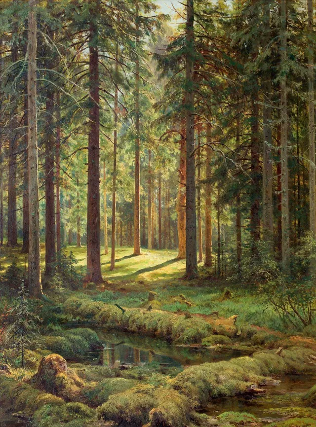 Coniferous Forest. Sunny Day, Ivan Chichkine