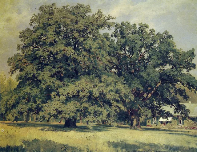Les Chênes de Mordvinovka
