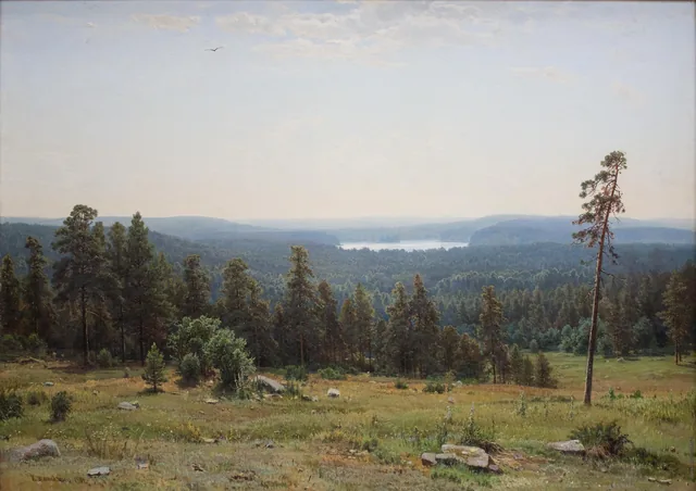 Forest Distances, Ivan Chichkine