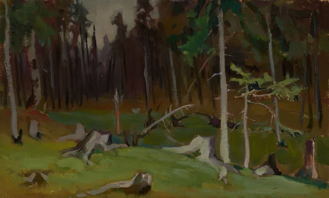 Claro en el bosque, Jacek Malczewski