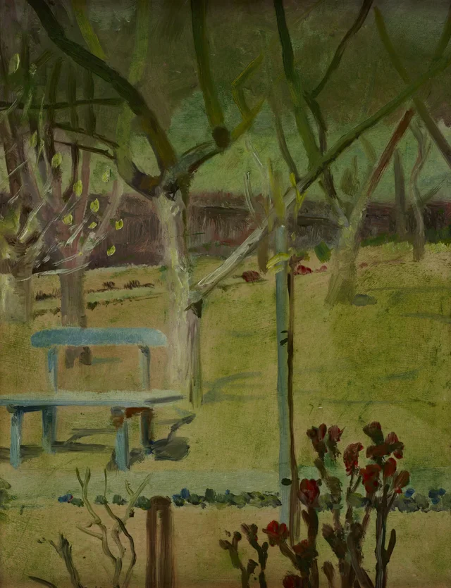 Vista de un jardín