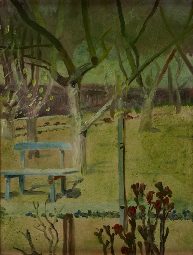 Vista de um jardim
