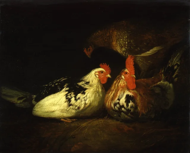 雄鶏と雌鶏, Jacob Gerritsz. Cuyp
