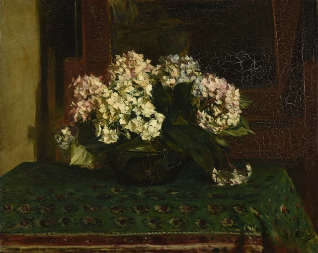 Hortensias (grande chaleur)