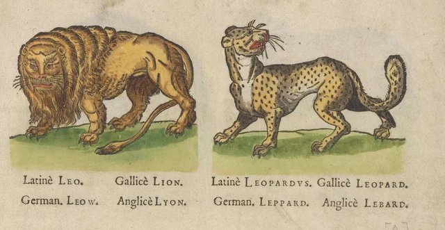 Lion and leopard, Jacques Le Moyne de Morgues