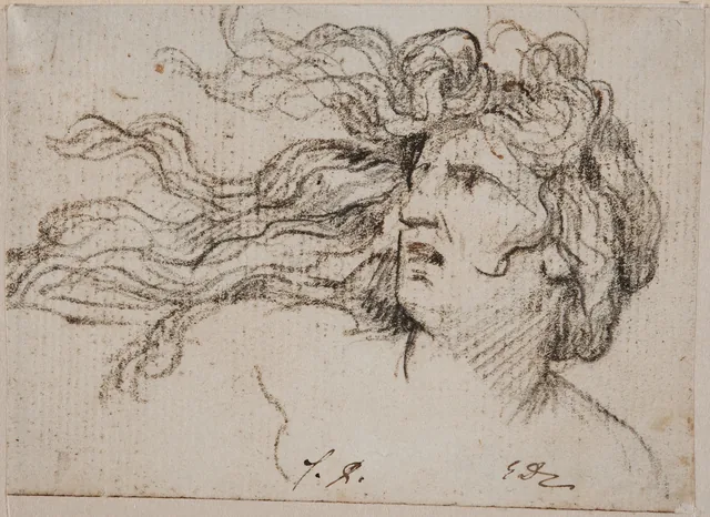 Woman's head with flying hair