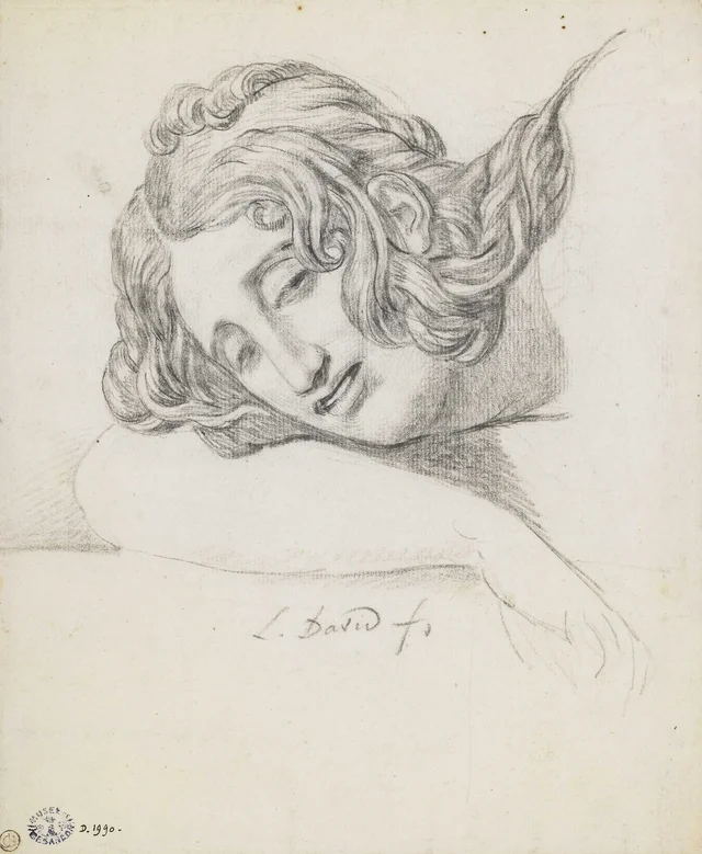 Cabeza de joven, vista de tres cuartos a la izquierda, apoyada en su antebrazo derecho, Jacques-Louis David