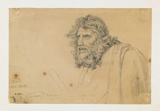 Elderly man, bust-length, three-quarter view to the left, left arm stretched out to beg, Jacques-Louis David