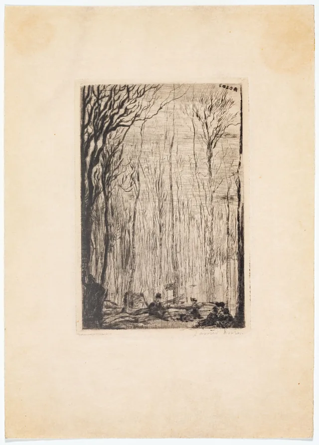 Floresta em Groenendael