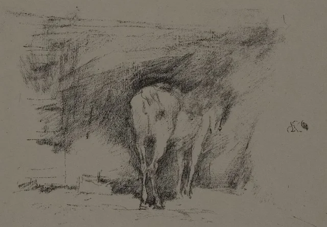 Study of a Horse