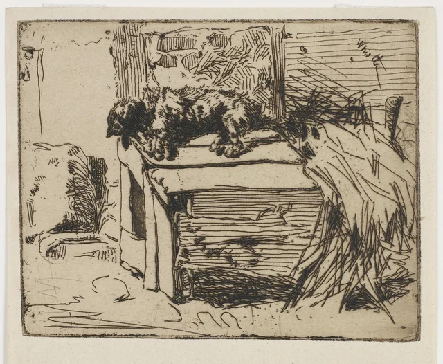 犬小屋の上の犬