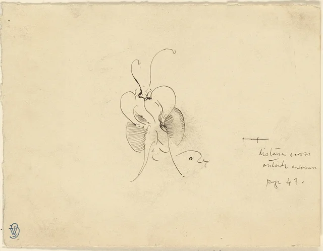 Butterfly, James McNeill Whistler