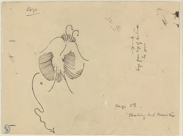 Butterfly (recto); Fragment of Butterfly (verso), James McNeill Whistler
