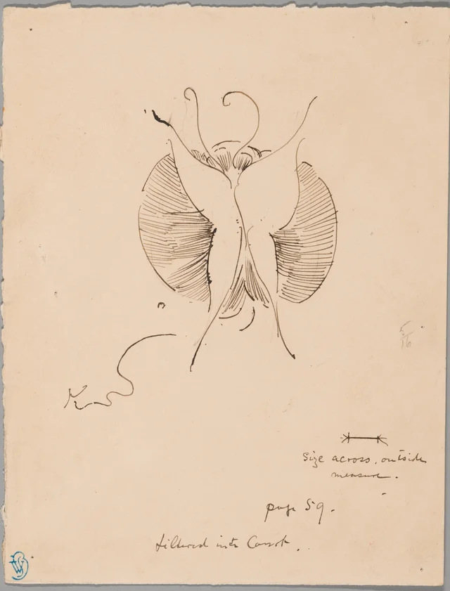 Butterfly (recto); Fragment of Butterfly (verso), James McNeill Whistler